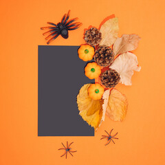 Blank black halloween card with pumpkins and spiders. Poster invitation mockup.