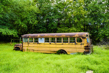 Abandoned School Bus