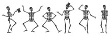 Dancing Human Bones Skeletons. Different Skeleton Poses Set Isolated Vector Illustration