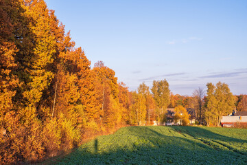 Poster - Autumn forest edge at a field in the countryside