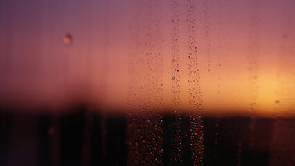 Wall Mural - Water drops on window glass with sunset light