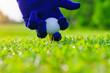 Leinwandbild Motiv Hand Golfer hold Golf ball with tee ready to be shot at golf court