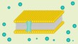Animation of passive transport and active transport across a cell membrane
