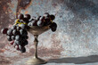 © Christian - Bunch of black grapes in an old pewter goblet. On a grunge background