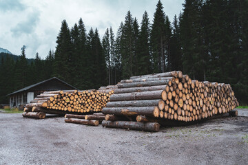 Stacked fir logs. Two large piles of logs cut for the fire. Firewood logging and wood trading.