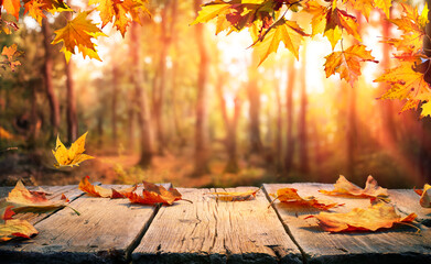 autumn table - orange leaves and wooden plank at sunset in forest