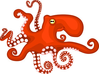 Poster - Red octopus isolated on white background