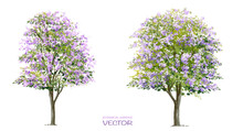Vector Watercolor Blooming Flower Tree Side View Isolated On White Background For Landscape And Architecture Drawing, Elements For Environment Or And Garden,botanical Elements For Section 