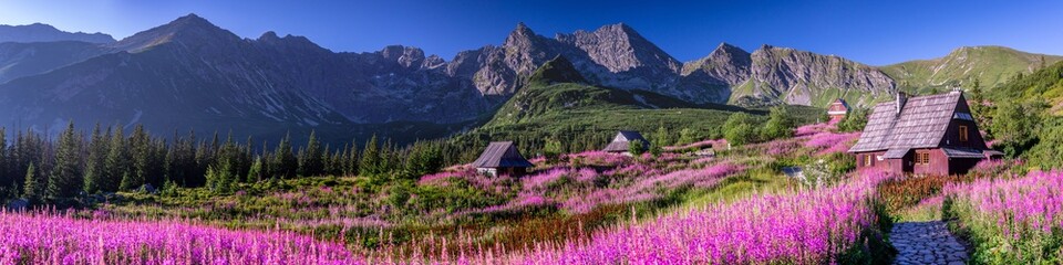 Fototapeta zakopane góra tatry natura