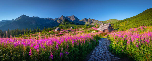Fototapeta natura góra tatry dolina pejzaż
