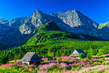 Fototapeta natura krajobraz góra
