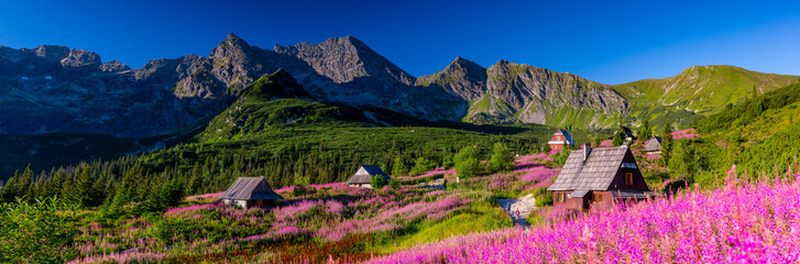 Fototapeta lato zakopane pejzaż tatry natura