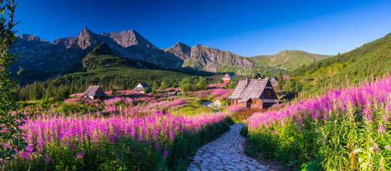 Fototapeta dolina góra pejzaż lato tatry