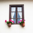 Window frame with colourful flowers