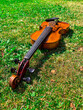 A violin on grass. Hot summer day.