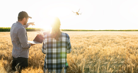 Poster - Two farmer with drone on the wheat field. Smart farming and precision agriculture