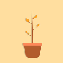 Simple Dry Plant In Pot Isolated Flat Design Vector Graphic Symbol Icon Sign Illustration.
