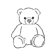 Hand drawn isolated Teddy bear. Doodle vector illustration