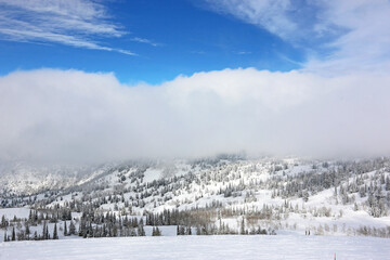 Poster - Powder Mountain Ski resort in Utah	