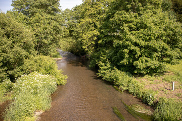 Wall Mural - River amongst the trees.