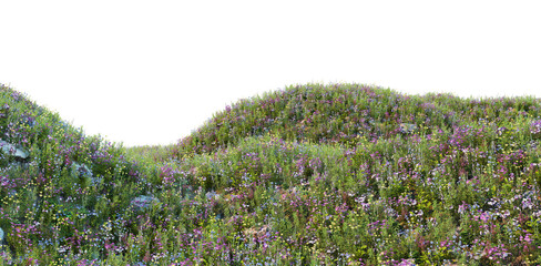 Wall Mural - Shrubs and flower on a transparent background
