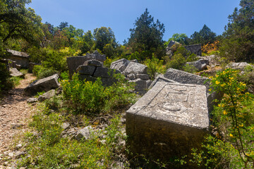 Wall Mural - Reliefs on sarcophagus rock tombs at unique Southwest necropolis Termessos ancient city, Antalya in Turkey mountains