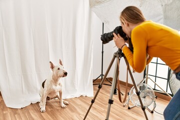 Poster - Young caucasian woman photographer making photo to dog at photography studio