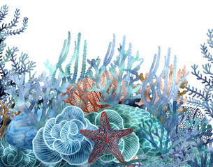 Wall Mural - under ocean life element with watercolor painted , Coral reef with transparent background