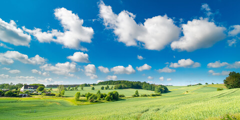 Wall Mural - panorama of a green summer field on a sunny day and clouds on blue sky