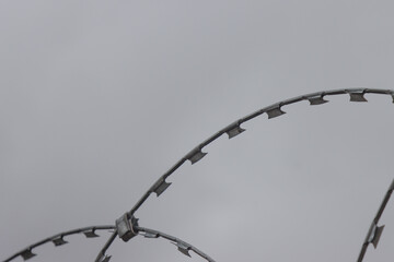 Metal barbed wire.