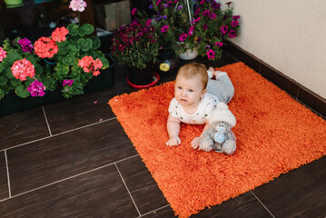 Baby lying on tummy with toy bear on floor. Portrait of baby a crawling on terrace. Adorable baby boy in patio. Newborn child playing.