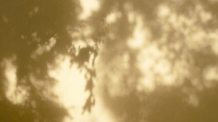 Morning sunlight and tree shadows blowing by wind reflecting on yellow wall overlay on flat surface.