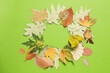 Leinwandbild Motiv Autumn leaves on green background, space for text