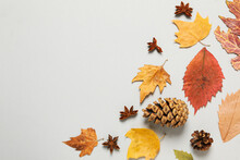 Concept Of Autumn, Autumn Composition Accessories On Light Gray Background