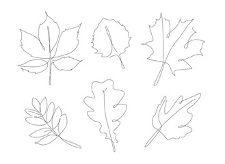 Wall Mural - Forest leaves one line set. Autumn leaf linear collection. Simple outline leaves.