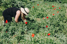 Farm Worker With Hat Analyzing Plants At Field On Sunny Day