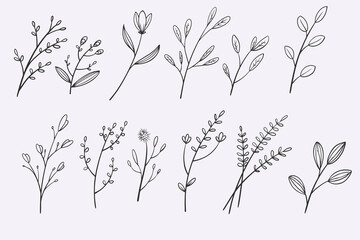 Poster - flower leaves doodle hand drawn vector illustration set