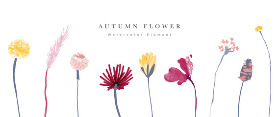 Collection of floral elements in watercolor. Set of autumn wild flowers, plants, branches, leaves and herb. Hand drawn of fall season blossom garden vectors for decor, website, graphic, decorative