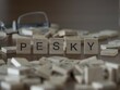 Pesky word or concept represented by wooden letter tiles on a wooden table with glasses and a book