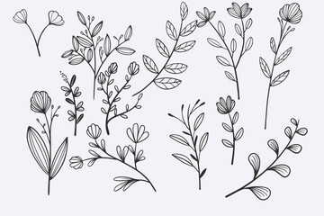 Poster - flower leaves doodle hand drawn vector illustration set