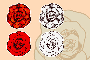 Poster - Rose flower vector illustration set