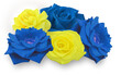 Blue Yellow Bouquet of Roses in the colors of the flag of Ukraine