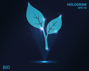 Wall Mural - Hologram bio. Holographic projection of a plant. A shimmering stream of particle energy. Scientific design ecology.