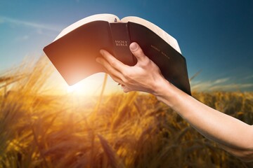 Human hand holds a Holy Bible Book on a ripe barley field in the summer harvest season.