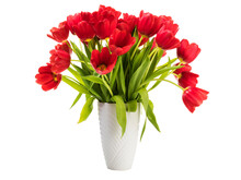 Bunch Of Red Tulips In A White Vase Isolated With Transparent Background