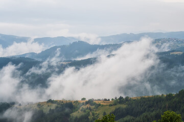 Wall Mural - Amazing aerial view of beautiful low clouds creeping on the tree-covered mountain slopes, the Rhodopes in Bulgaria.