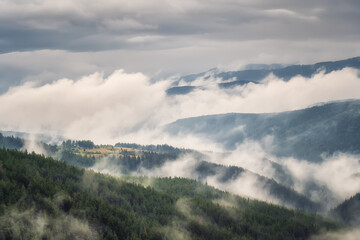 Wall Mural - Amazing aerial view of beautiful low clouds creeping on the tree-covered mountain slopes, the Rhodopes in Bulgaria.