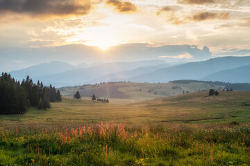 Wall Mural - amazing view of picturesque mountain meadow and distant slopes in golden hour at sunset, the rhodopi