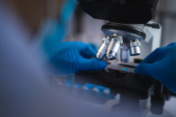 Wall Mural - scientist analyzing microscope slide at laboratory. young woman technician is examining a histologic