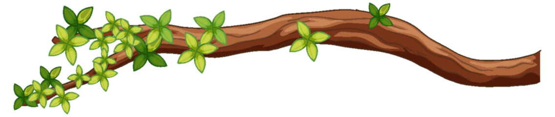 Wall Mural - tree branch isolated on white background